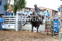 JindabyneRodeo2016_3249