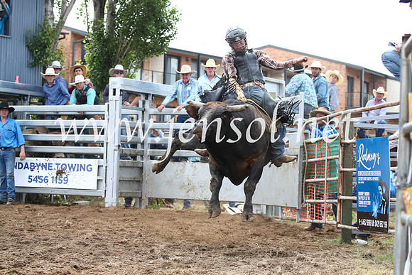 JindabyneRodeo2016_3249