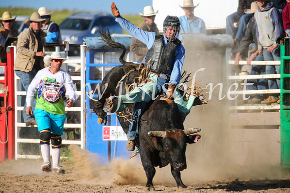 BungendoreRodeo2016-5325