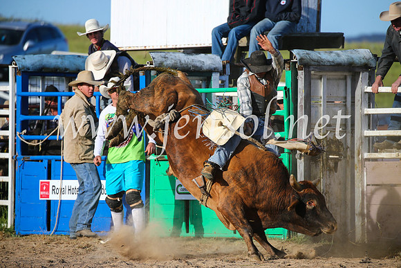 BungendoreRodeo2016-5373