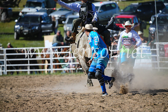 BungendoreRodeo2016-4061