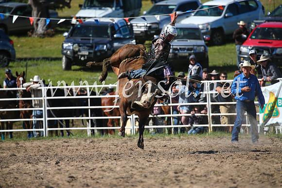 BungendoreRodeo2016-4139