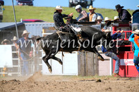 BungendoreRodeo2016-4082