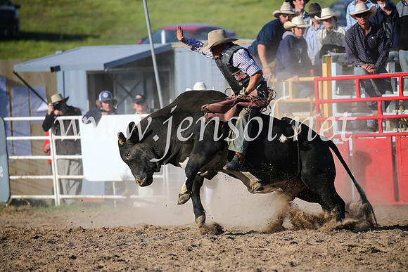 BungendoreRodeo2016-5538