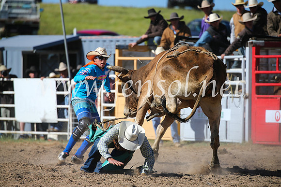 BungendoreRodeo2016-4224