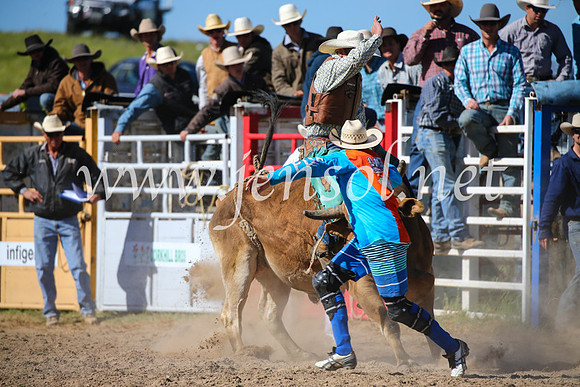 BungendoreRodeo2016-4209