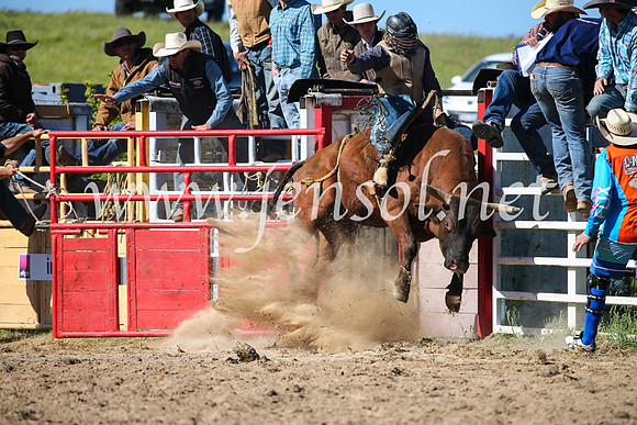 BungendoreRodeo2016-4306