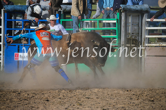 BungendoreRodeo2016-5706