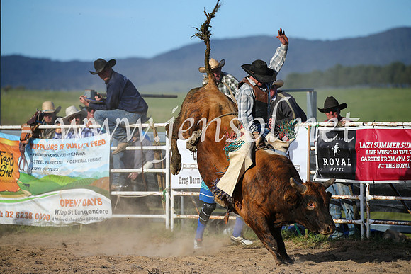 BungendoreRodeo2016-5432