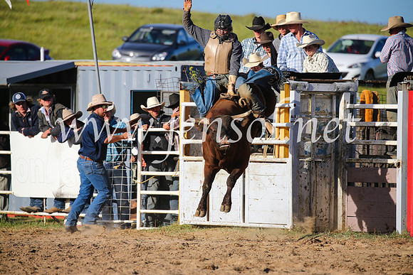 BungendoreRodeo2016-5800