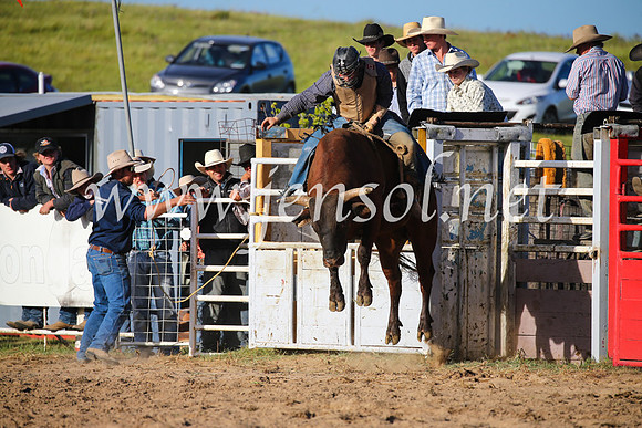 BungendoreRodeo2016-5799