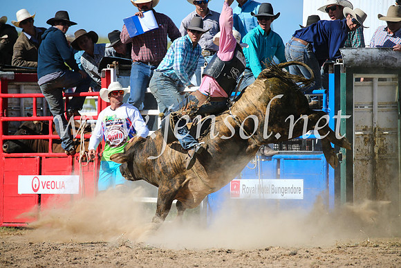 BungendoreRodeo2016-4256