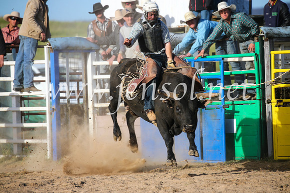 BungendoreRodeo2016-5717