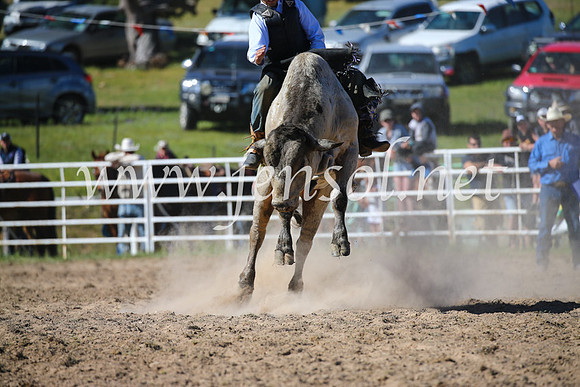 BungendoreRodeo2016-4049