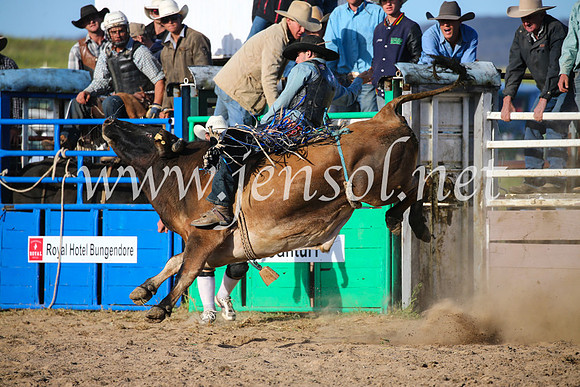 BungendoreRodeo2016-5652