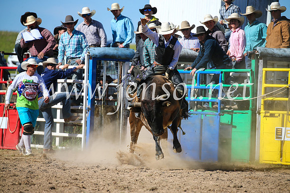 BungendoreRodeo2016-4334