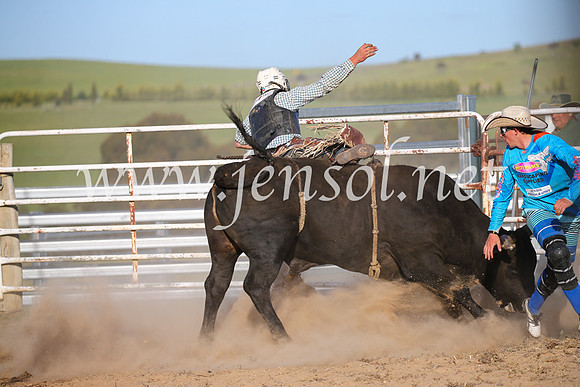 BungendoreRodeo2016-5785