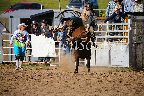 BungendoreRodeo2016-5810