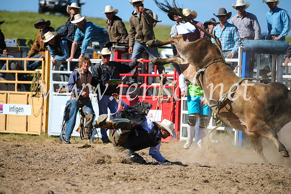 BungendoreRodeo2016-4341
