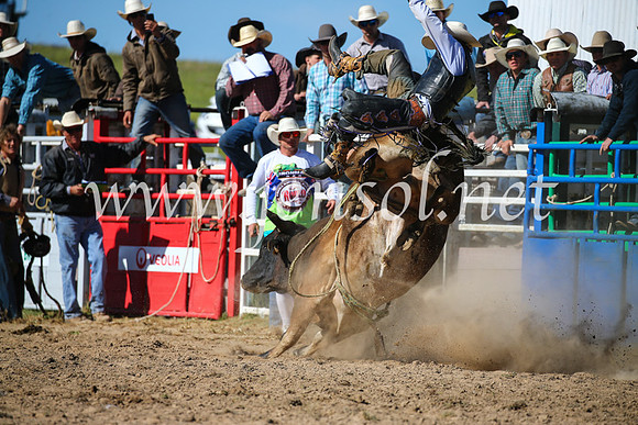 BungendoreRodeo2016-4349