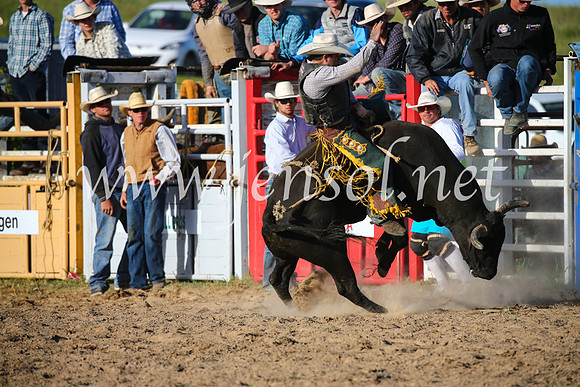 BungendoreRodeo2016-5580