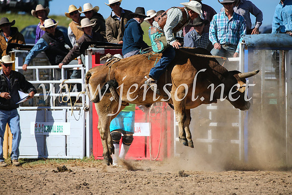 BungendoreRodeo2016-4179