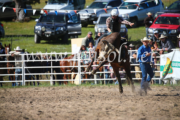 BungendoreRodeo2016-4142