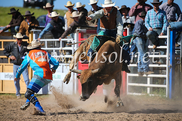BungendoreRodeo2016-4217