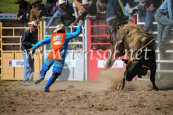 BungendoreRodeo2016-4269