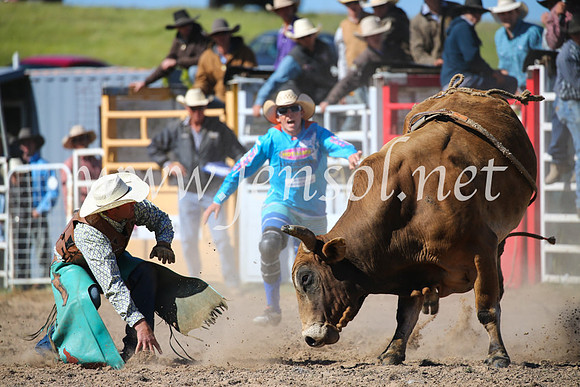 BungendoreRodeo2016-4219