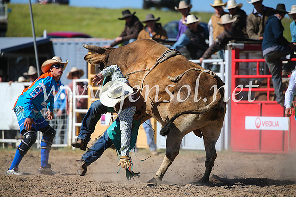 BungendoreRodeo2016-4230