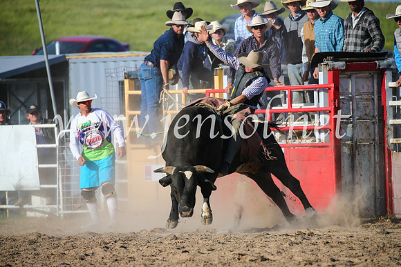 BungendoreRodeo2016-5533