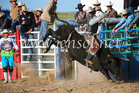 BungendoreRodeo2016-5721