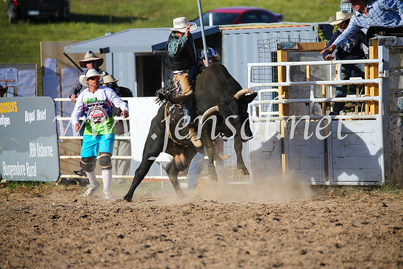 BungendoreRodeo2016-5460