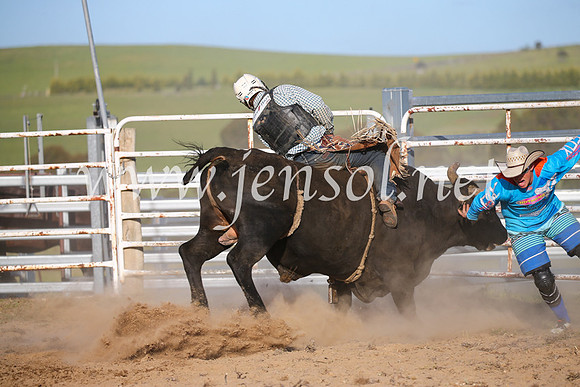 BungendoreRodeo2016-5787
