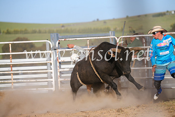 BungendoreRodeo2016-5789