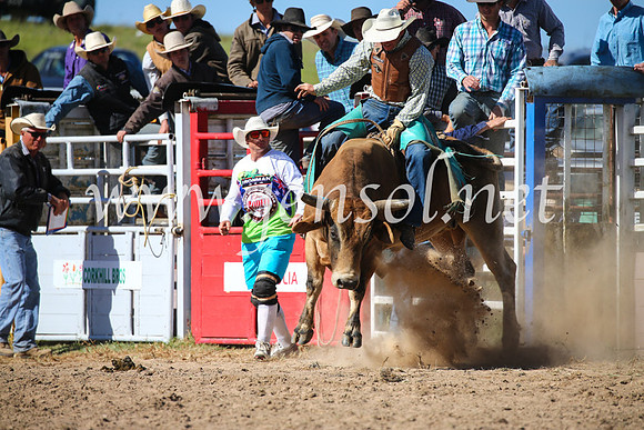 BungendoreRodeo2016-4173