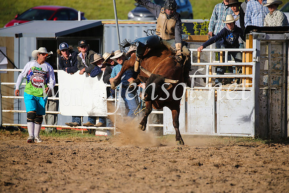 BungendoreRodeo2016-5820