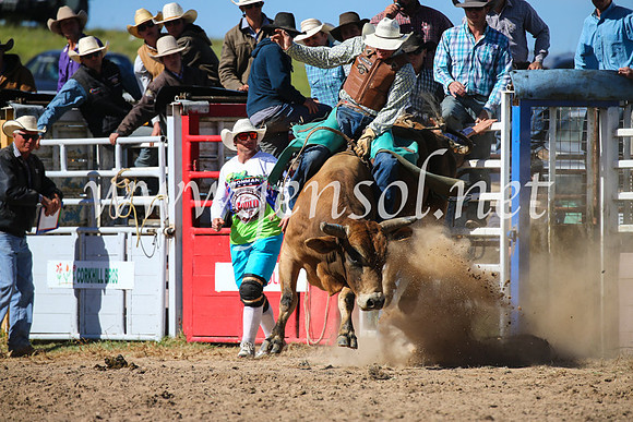 BungendoreRodeo2016-4181