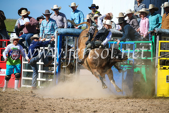 BungendoreRodeo2016-4324