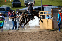 BungendoreRodeo2016-4134
