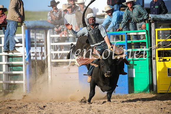 BungendoreRodeo2016-5727
