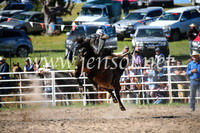 BungendoreRodeo2016-4156