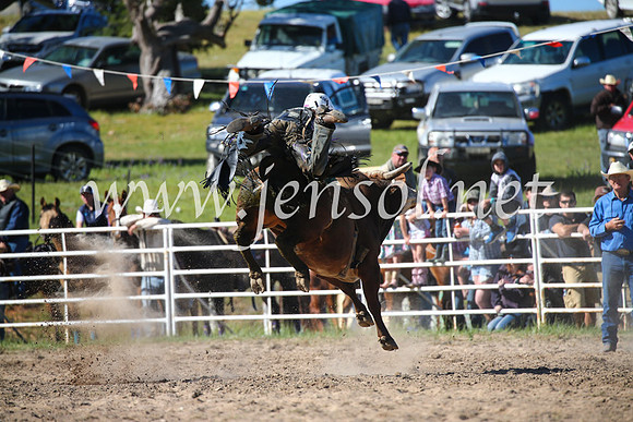 BungendoreRodeo2016-4156