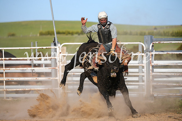 BungendoreRodeo2016-5771