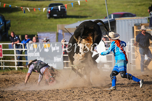 BungendoreRodeo2016-5554