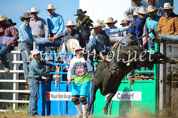BungendoreRodeo2016-4275