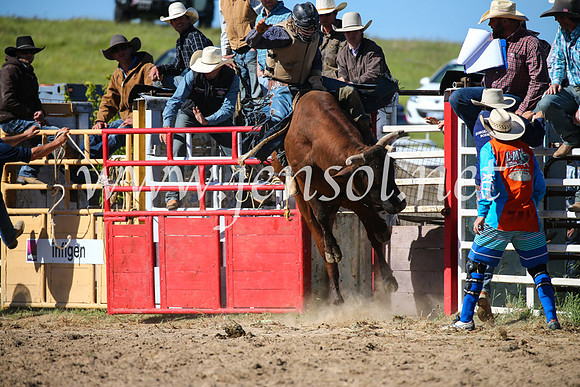BungendoreRodeo2016-4297
