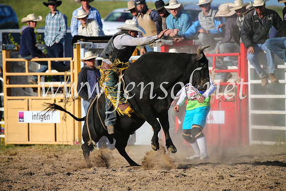 BungendoreRodeo2016-5606