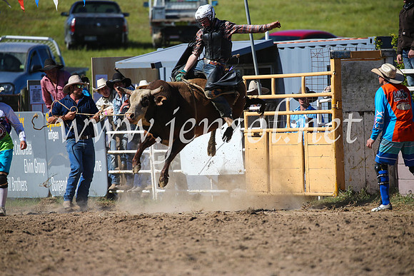 BungendoreRodeo2016-4133